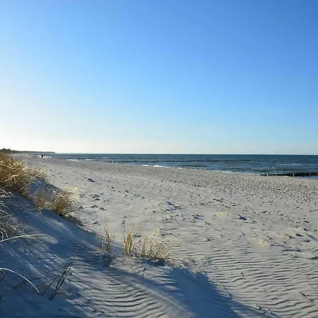 Luetten Kulli - 1 * Zingst