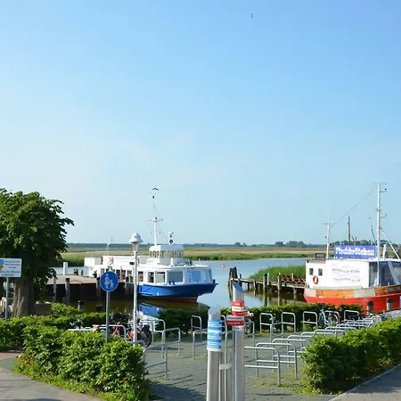 Luetten Kulli - 1 * Zingst