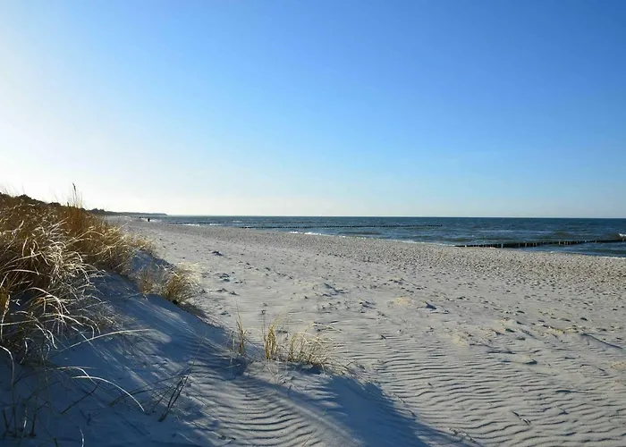 Lütten Kulli - 1 * Zingst