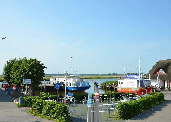 Lütten Kulli - 1 * Zingst