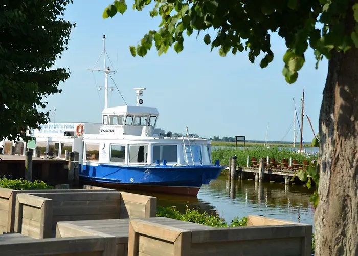 Luetten Kulli - 1 * Zingst